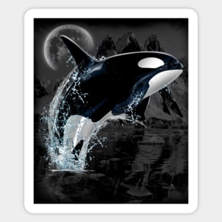 Orca whale dancing in moonlight Sticker